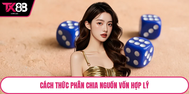 Cách thức phân chia nguồn vốn hợp lý