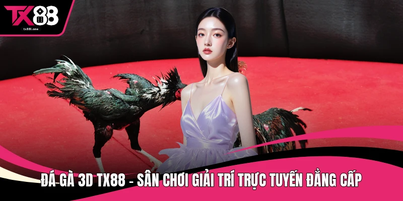 Đá gà 3D TX88