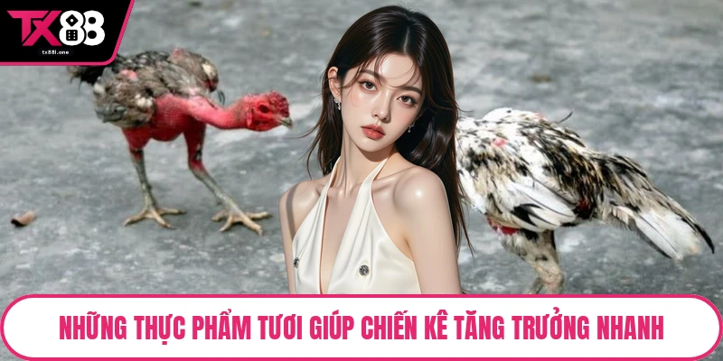 Những thực phẩm tươi giúp chiến kê tăng trưởng nhanh