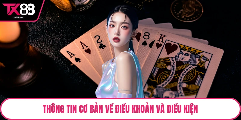 Thông tin cơ bản về điều khoản và điều kiện
