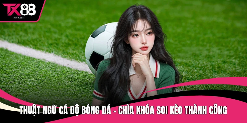 Thuật ngữ cá độ bóng đá